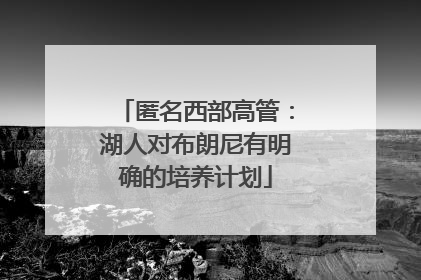 匿名西部高管：湖人对布朗尼有明确的培养计划