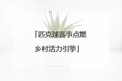 匹克球赛事点燃乡村活力引擎