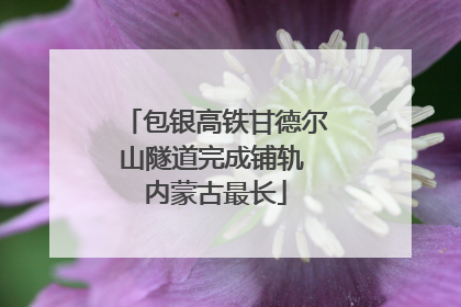 包银高铁甘德尔山隧道完成铺轨 内蒙古最长