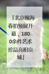 北京翰海春拍预展开幕，1800余件艺术珍品亮相京城