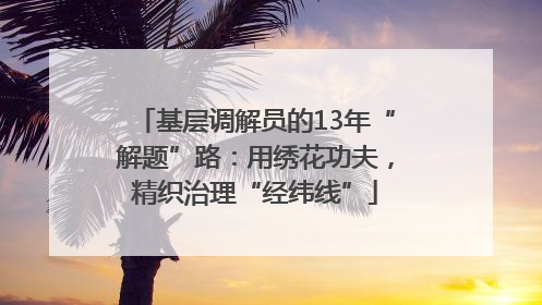 基层调解员的13年“解题”路：用绣花功夫，精织治理“经纬线”