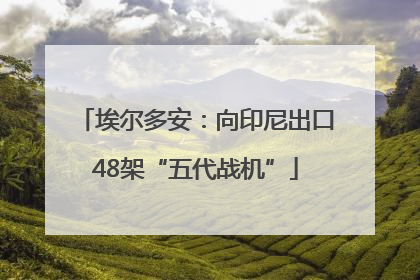 埃尔多安：向印尼出口48架“五代战机”