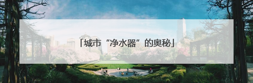 城市“净水器”的奥秘