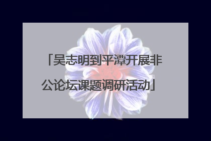吴志明到平潭开展非公论坛课题调研活动
