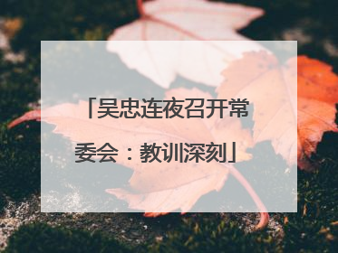 吴忠连夜召开常委会：教训深刻
