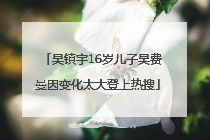 吴镇宇16岁儿子吴费曼因变化太大登上热搜
