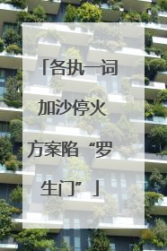 各执一词 加沙停火方案陷“罗生门”