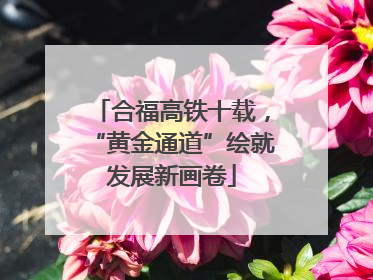 合福高铁十载，“黄金通道”绘就发展新画卷