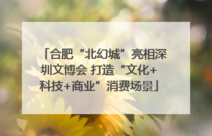 合肥“北幻城”亮相深圳文博会 打造“文化+科技+商业”消费场景