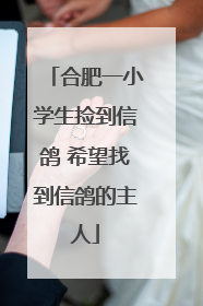 合肥一小学生捡到信鸽 希望找到信鸽的主人