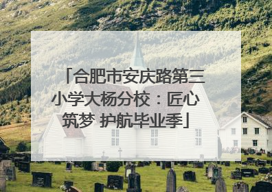 合肥市安庆路第三小学大杨分校：匠心筑梦 护航毕业季