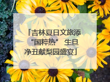 吉林夏日文旅添“国粹热” 生旦净丑献梨园盛宴