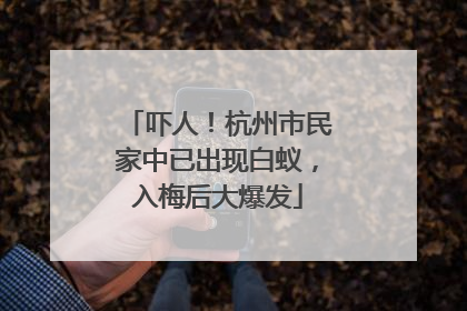 吓人！杭州市民家中已出现白蚁，入梅后大爆发