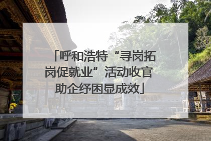 呼和浩特“寻岗拓岗促就业”活动收官 助企纾困显成效