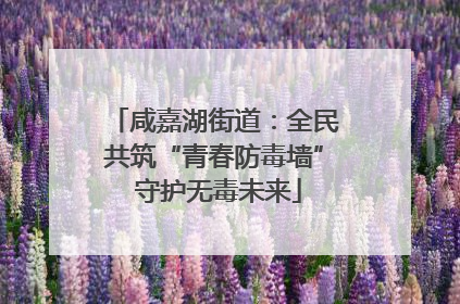 咸嘉湖街道：全民共筑“青春防毒墙” 守护无毒未来