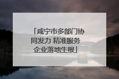 咸宁市多部门协同发力 精准服务企业落地生根