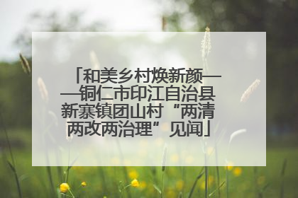 和美乡村焕新颜——铜仁市印江自治县新寨镇团山村“两清两改两治理”见闻
