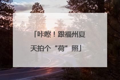 咔嚓！跟福州夏天拍个“荷”照