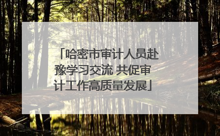 哈密市审计人员赴豫学习交流 共促审计工作高质量发展