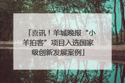 喜讯！羊城晚报“小羊拍客”项目入选国家级创新发展案例