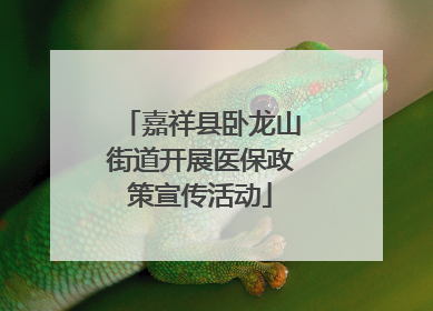 嘉祥县卧龙山街道开展医保政策宣传活动