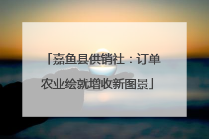 嘉鱼县供销社：订单农业绘就增收新图景