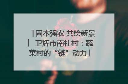 固本强农 共绘新景 ︳卫辉市南社村：蔬菜村的“链”动力
