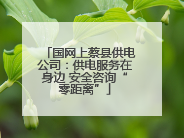国网上蔡县供电公司：供电服务在身边 安全咨询“零距离”