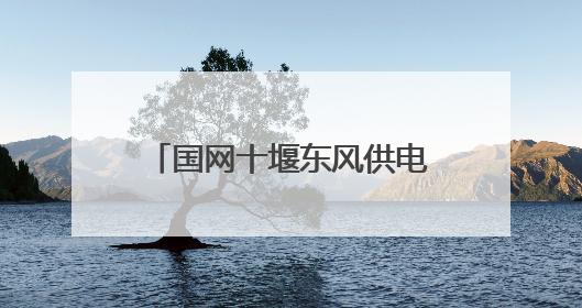 国网十堰东风供电公司：支部共建 居民用上安心电