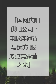 国网庆阳供电公司：电脉连通诗与远方 服务点亮露营之光
