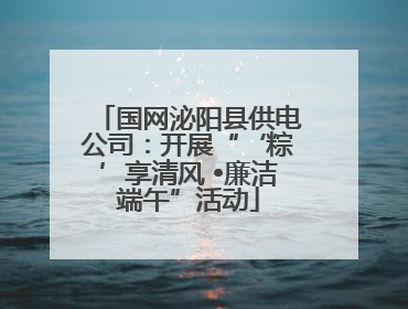 国网泌阳县供电公司：开展“‘粽’享清风 •廉洁端午”活动