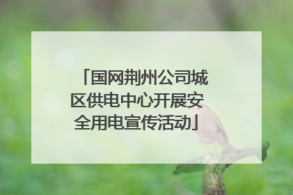 国网荆州公司城区供电中心开展安全用电宣传活动