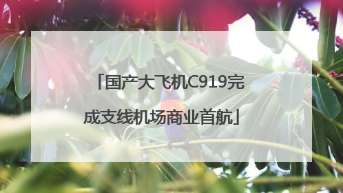 国产大飞机C919完成支线机场商业首航