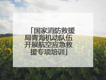 国家消防救援局青海机动队伍开展航空应急救援专项培训