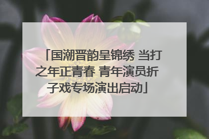 国潮晋韵呈锦绣 当打之年正青春 青年演员折子戏专场演出启动