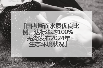 国考断面水质优良比例、达标率均100% 芜湖发布2024年生态环境状况