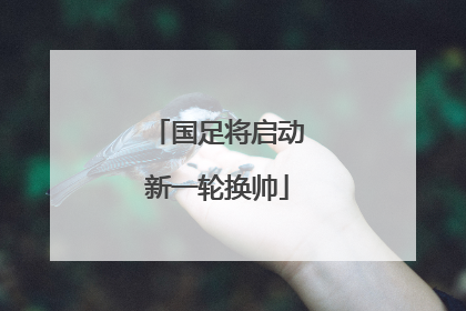 国足将启动新一轮换帅