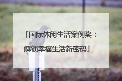 国际休闲生活案例奖：解锁幸福生活新密码