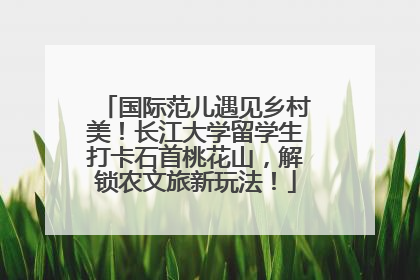 国际范儿遇见乡村美！长江大学留学生打卡石首桃花山，解锁农文旅新玩法！