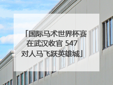 国际马术世界杯赛在武汉收官 547对人马飞跃英雄城