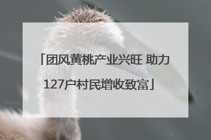 团风黄桃产业兴旺 助力127户村民增收致富