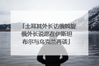 土耳其外长访俄斡旋 俄外长说愿在伊斯坦布尔与乌克兰再谈