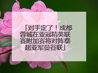 对手定了！成都蓉城在亚冠精英联赛附加赛将对阵泰超亚军曼谷联