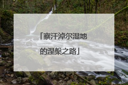 察汗淖尔湿地的涅槃之路