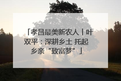 孝昌最美新农人丨叶双平：深耕乡土 托起乡亲“致富梦”