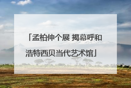 孟柏伸个展 揭幕呼和浩特西贝当代艺术馆