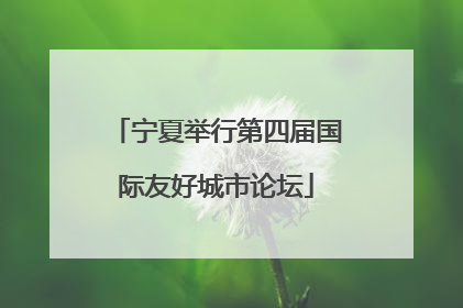 宁夏举行第四届国际友好城市论坛
