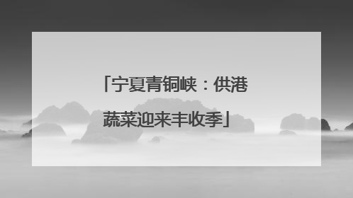 宁夏青铜峡：供港蔬菜迎来丰收季
