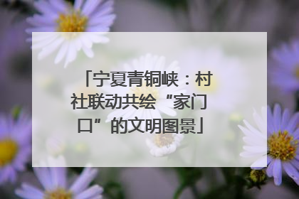宁夏青铜峡：村社联动共绘“家门口”的文明图景