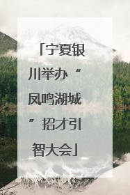 宁夏银川举办“凤鸣湖城”招才引智大会